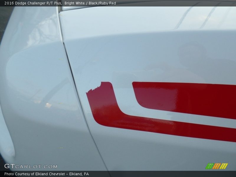 Bright White / Black/Ruby Red 2016 Dodge Challenger R/T Plus