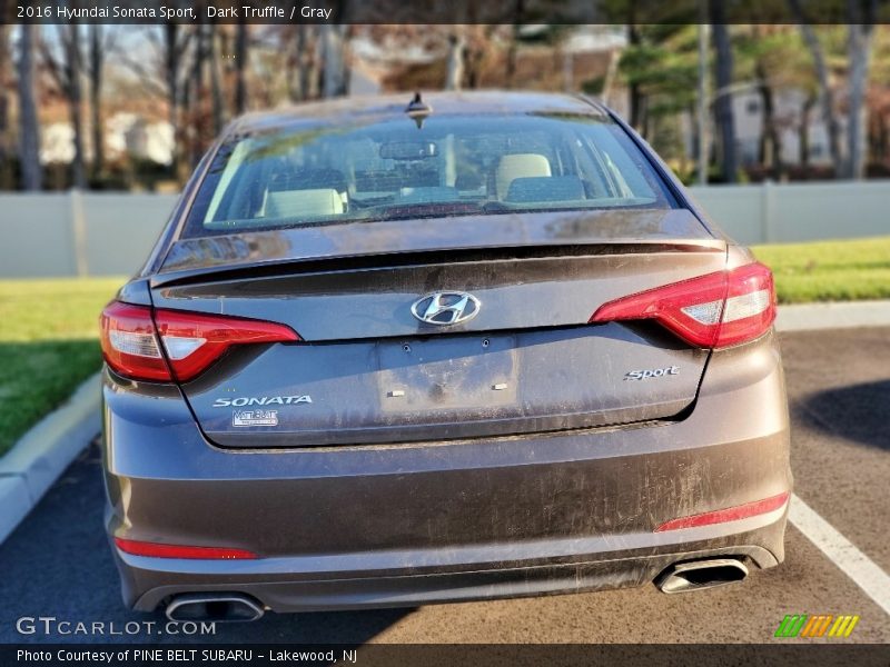 Dark Truffle / Gray 2016 Hyundai Sonata Sport