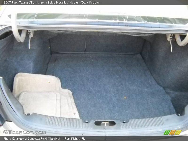 Arizona Beige Metallic / Medium/Dark Pebble 2007 Ford Taurus SEL