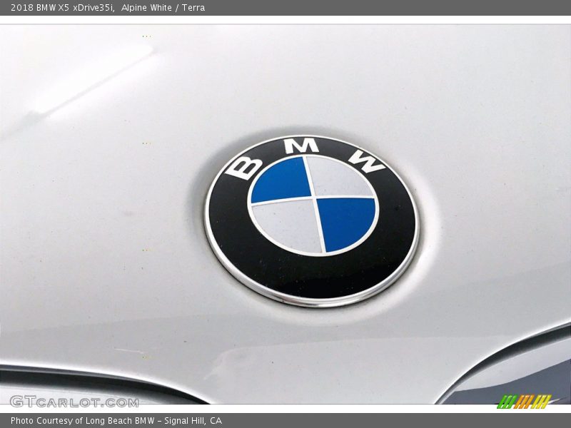 Alpine White / Terra 2018 BMW X5 xDrive35i