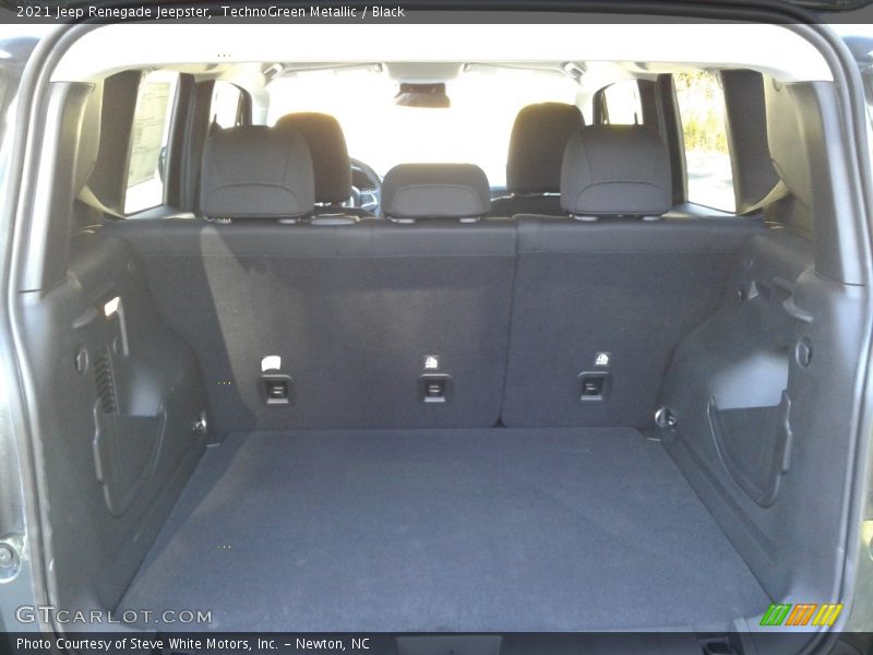 TechnoGreen Metallic / Black 2021 Jeep Renegade Jeepster