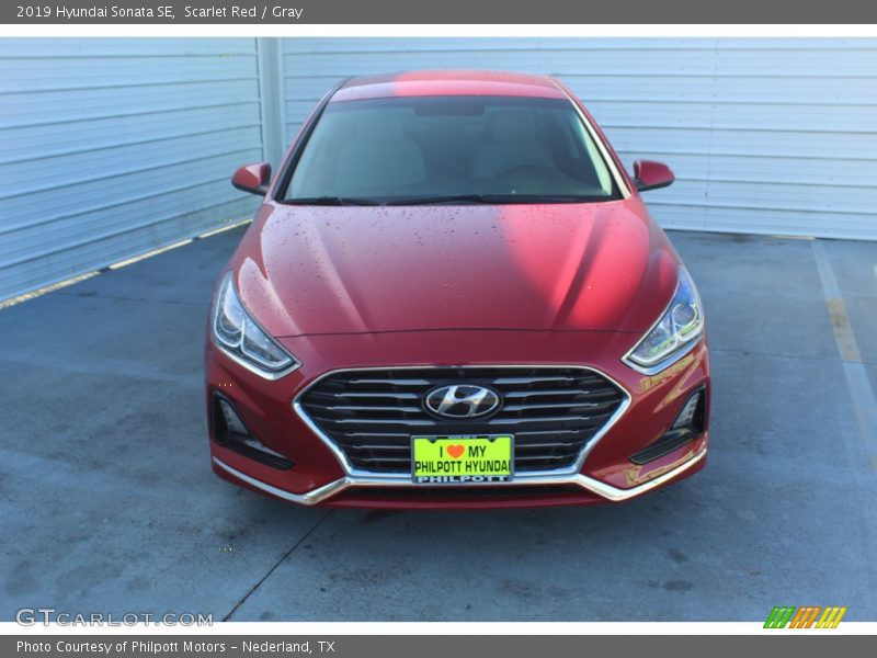 Scarlet Red / Gray 2019 Hyundai Sonata SE