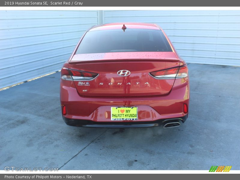 Scarlet Red / Gray 2019 Hyundai Sonata SE