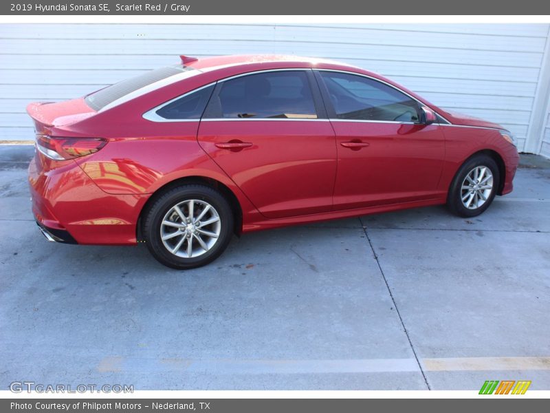Scarlet Red / Gray 2019 Hyundai Sonata SE