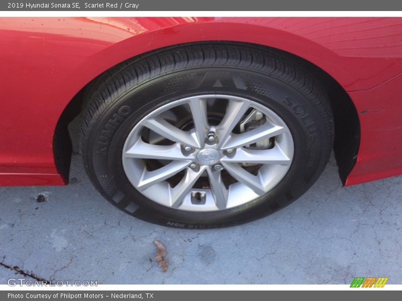Scarlet Red / Gray 2019 Hyundai Sonata SE