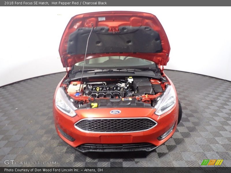 Hot Pepper Red / Charcoal Black 2018 Ford Focus SE Hatch