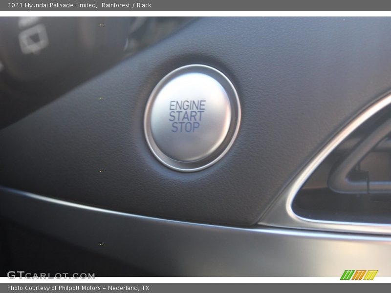 Rainforest / Black 2021 Hyundai Palisade Limited