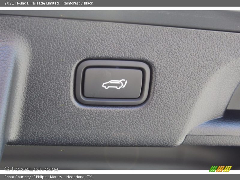 Rainforest / Black 2021 Hyundai Palisade Limited