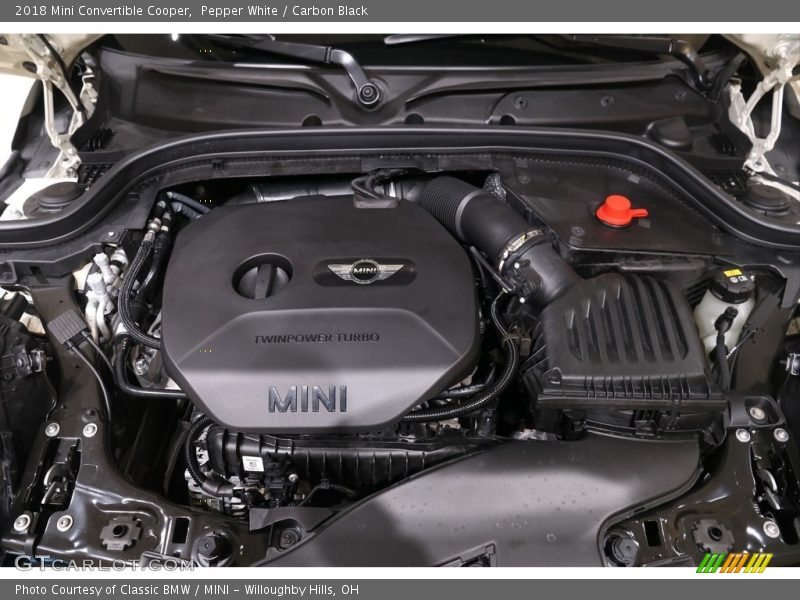 Pepper White / Carbon Black 2018 Mini Convertible Cooper