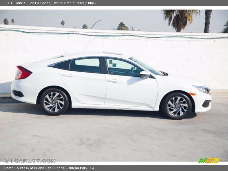 White Orchid Pearl / Black 2018 Honda Civic EX Sedan