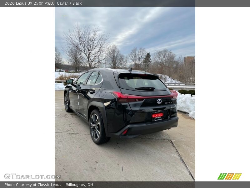 Caviar / Black 2020 Lexus UX 250h AWD