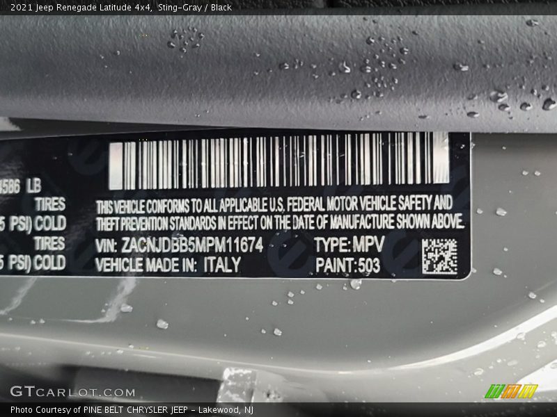 2021 Renegade Latitude 4x4 Sting-Gray Color Code 503