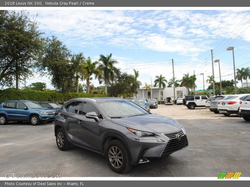  2018 NX 300 Nebula Gray Pearl