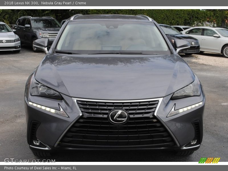 Nebula Gray Pearl / Creme 2018 Lexus NX 300