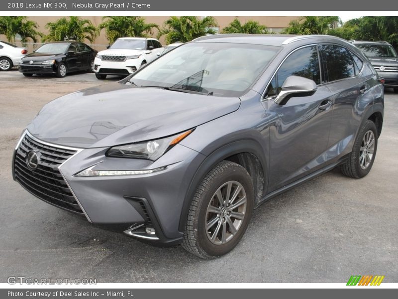  2018 NX 300 Nebula Gray Pearl