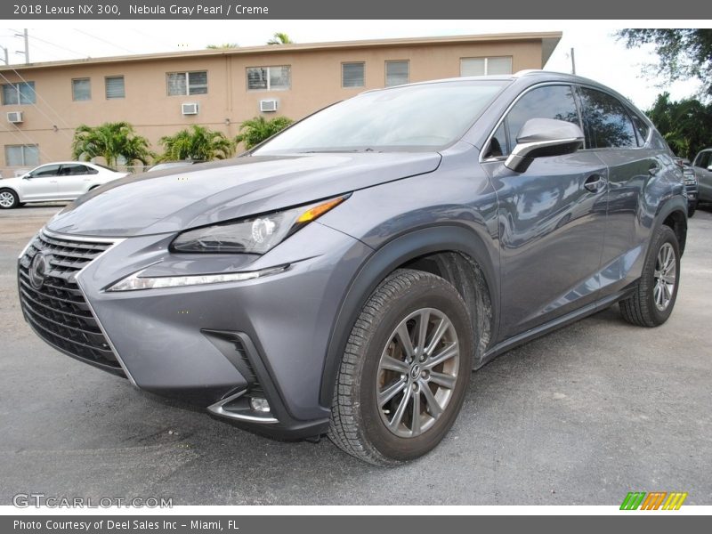  2018 NX 300 Nebula Gray Pearl