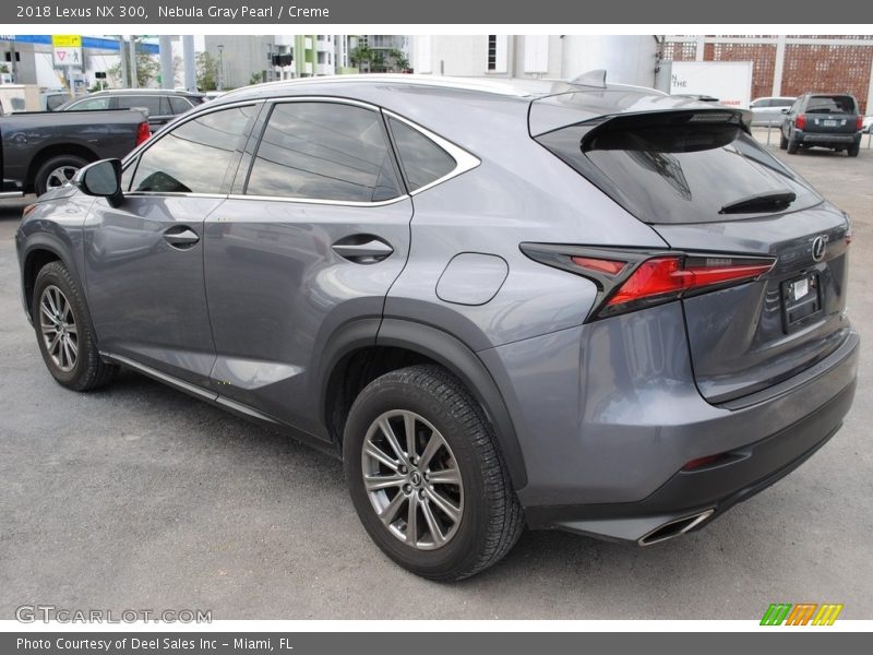 Nebula Gray Pearl / Creme 2018 Lexus NX 300
