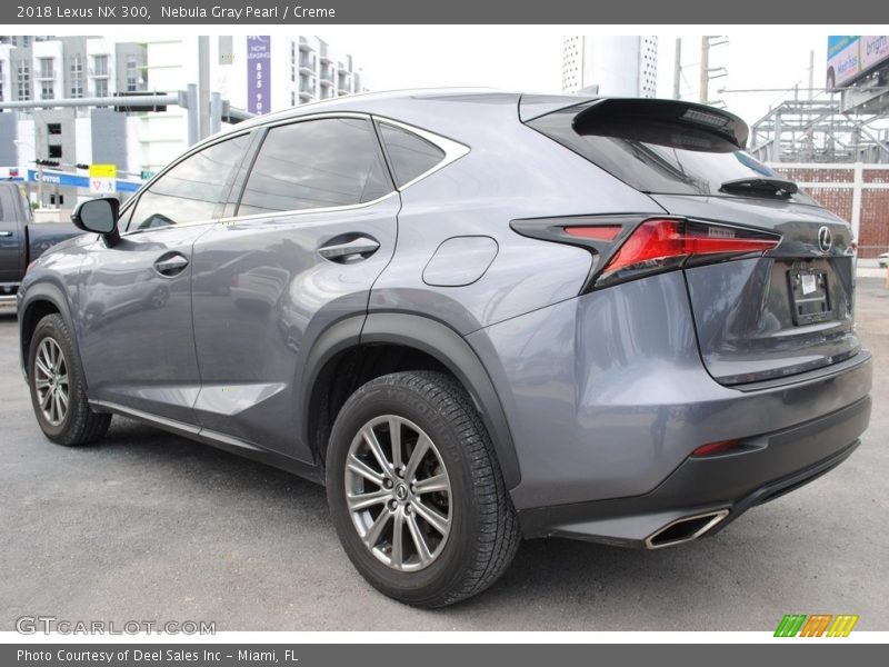 Nebula Gray Pearl / Creme 2018 Lexus NX 300