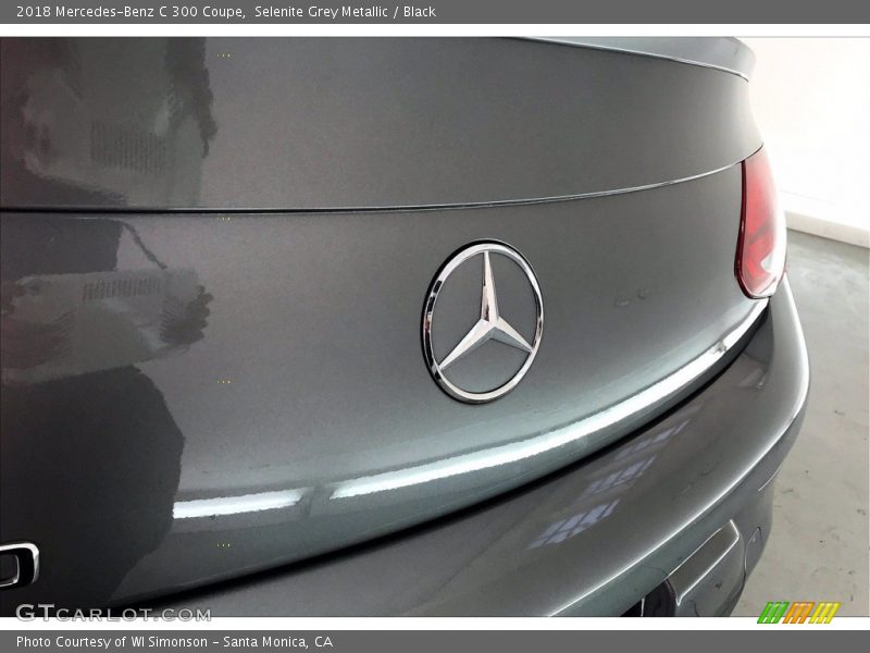 Selenite Grey Metallic / Black 2018 Mercedes-Benz C 300 Coupe
