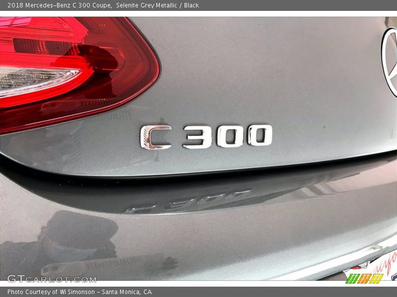 Selenite Grey Metallic / Black 2018 Mercedes-Benz C 300 Coupe