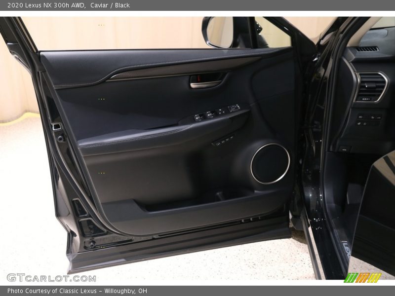 Door Panel of 2020 NX 300h AWD
