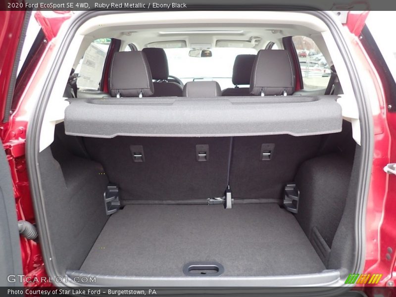 Ruby Red Metallic / Ebony Black 2020 Ford EcoSport SE 4WD