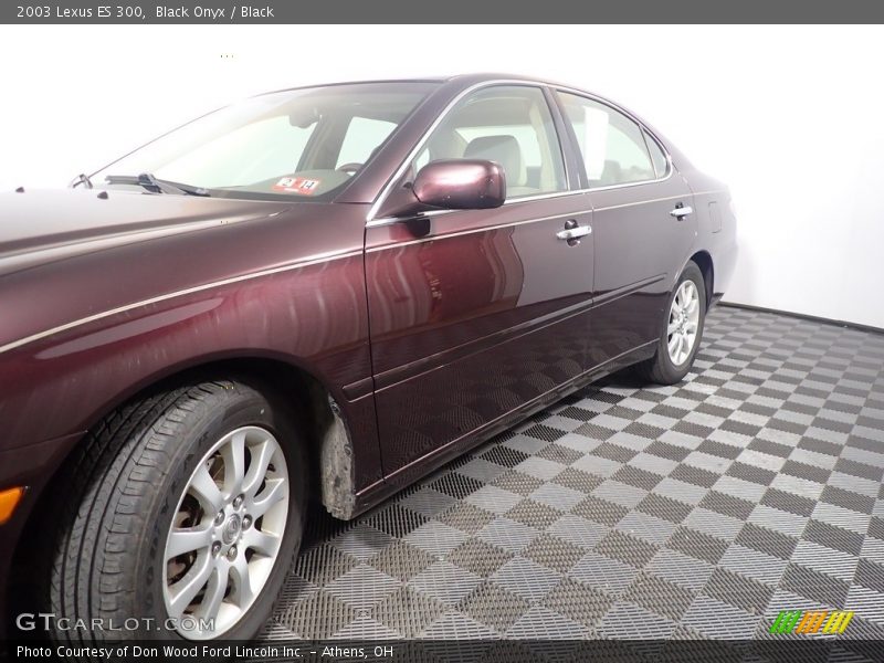 Black Onyx / Black 2003 Lexus ES 300