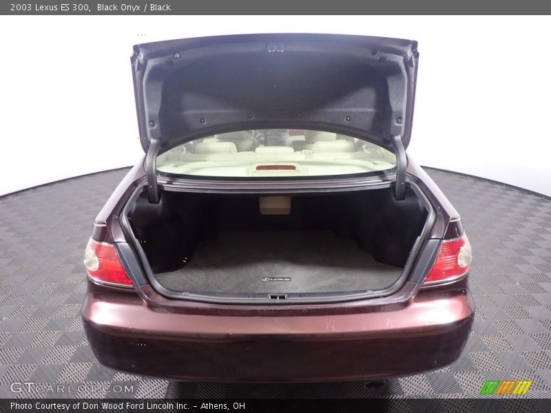 Black Onyx / Black 2003 Lexus ES 300