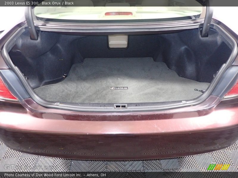 Black Onyx / Black 2003 Lexus ES 300