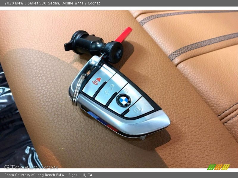 Keys of 2020 5 Series 530i Sedan