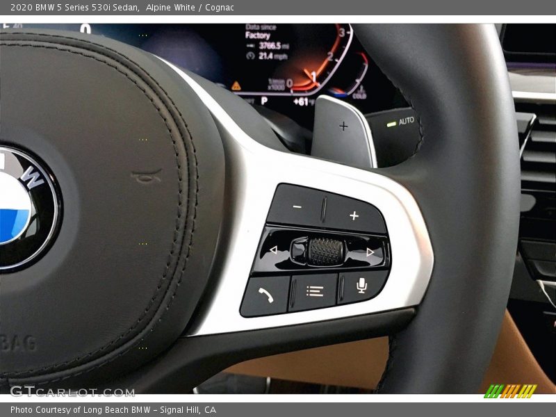 2020 5 Series 530i Sedan Steering Wheel