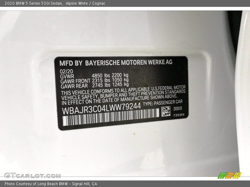 2020 5 Series 530i Sedan Alpine White Color Code 300