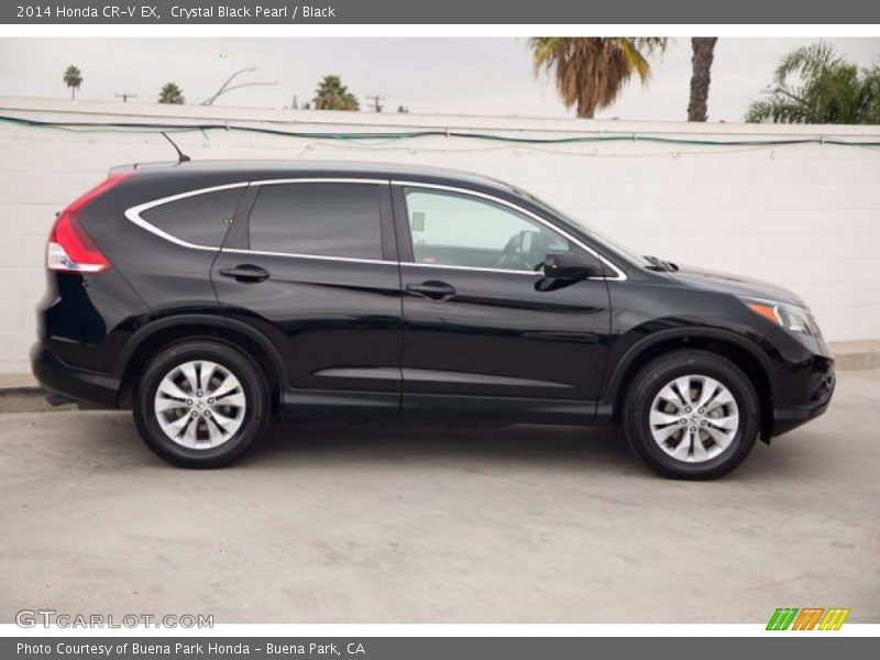 Crystal Black Pearl / Black 2014 Honda CR-V EX