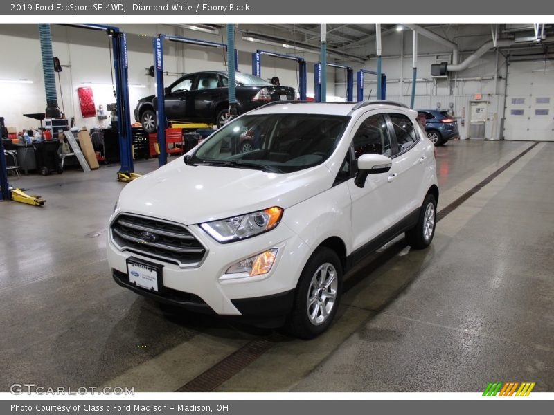 Diamond White / Ebony Black 2019 Ford EcoSport SE 4WD
