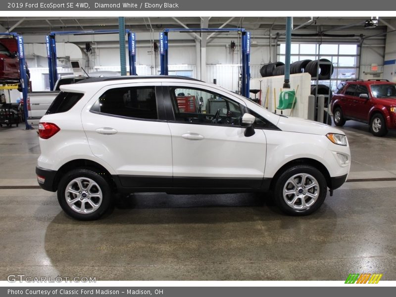 Diamond White / Ebony Black 2019 Ford EcoSport SE 4WD