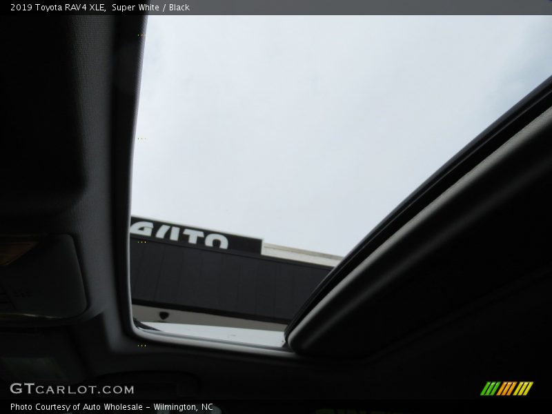 Super White / Black 2019 Toyota RAV4 XLE