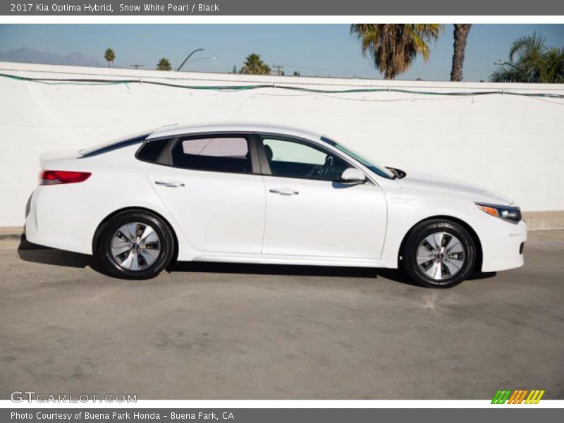  2017 Optima Hybrid Snow White Pearl