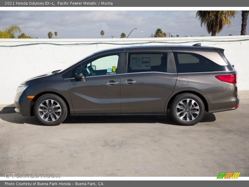 Pacific Pewter Metallic / Mocha 2021 Honda Odyssey EX-L