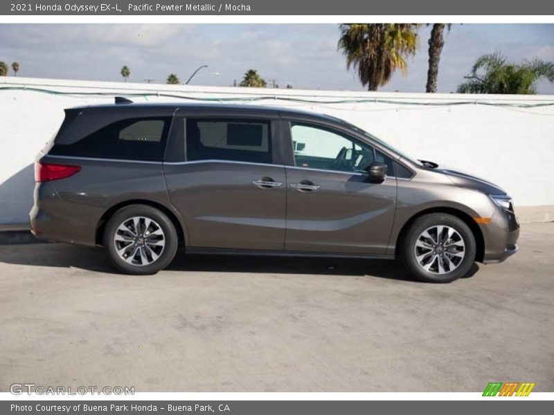 Pacific Pewter Metallic / Mocha 2021 Honda Odyssey EX-L