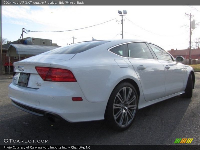 Ibis White / Black 2014 Audi A7 3.0T quattro Prestige
