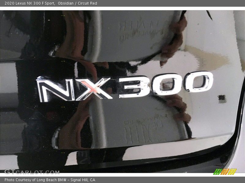  2020 NX 300 F Sport Logo
