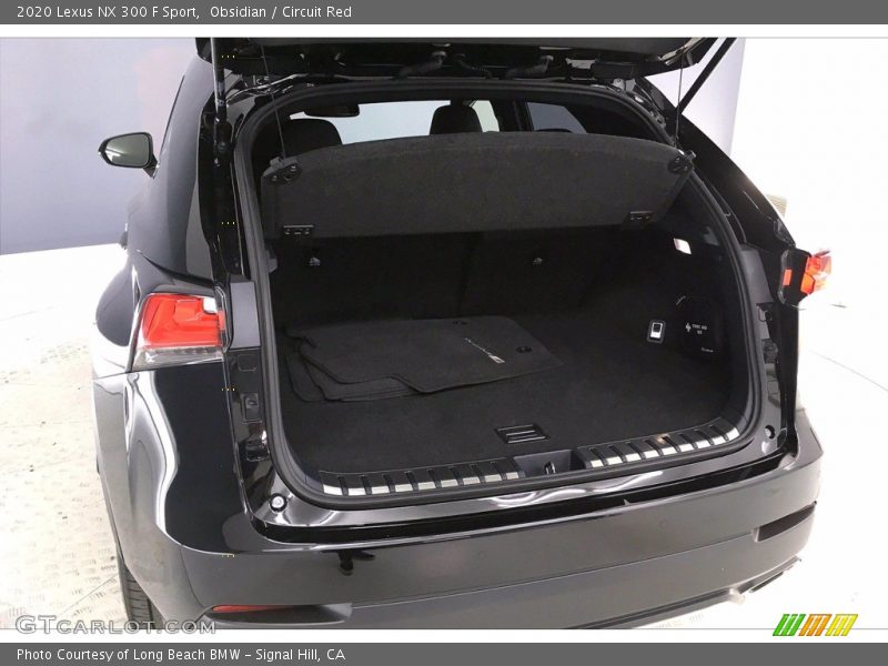  2020 NX 300 F Sport Trunk