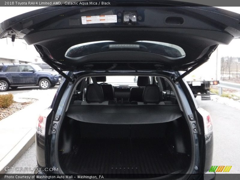 Galactic Aqua Mica / Black 2018 Toyota RAV4 Limited AWD