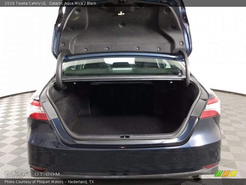 Galactic Aqua Mica / Black 2019 Toyota Camry LE