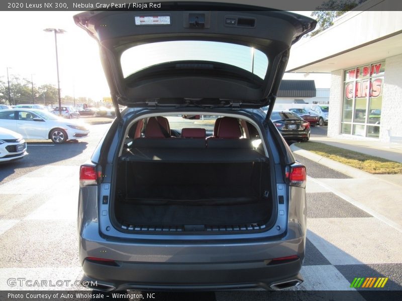 Nebula Gray Pearl / Rioja Red 2020 Lexus NX 300