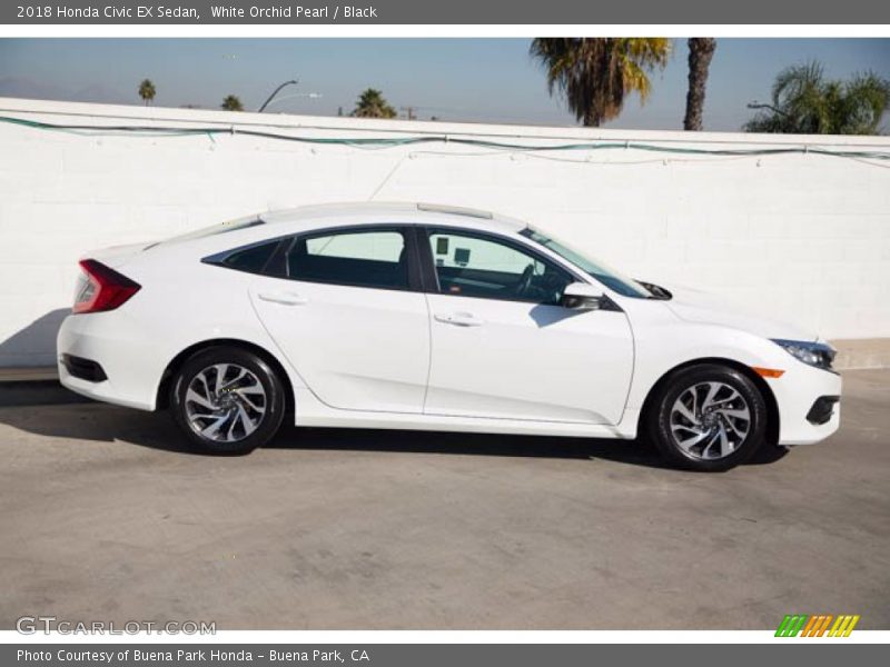 White Orchid Pearl / Black 2018 Honda Civic EX Sedan