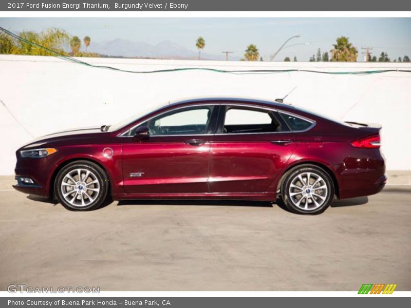  2017 Fusion Energi Titanium Burgundy Velvet