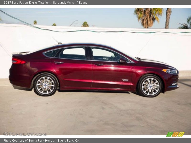 2017 Fusion Energi Titanium Burgundy Velvet