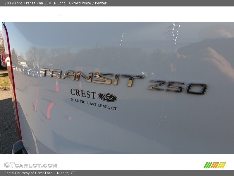 Oxford White / Pewter 2019 Ford Transit Van 250 LR Long