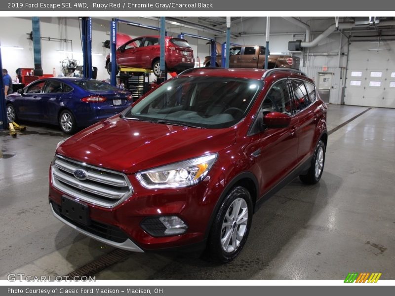 Ruby Red / Chromite Gray/Charcoal Black 2019 Ford Escape SEL 4WD